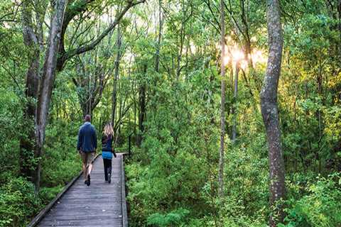Discover the Natural Wonders of Currituck County, NC: A Guide to the Currituck Banks Reserve