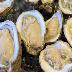 Expert Insights: The Average Wait Time at Seafood Restaurants in Gulfport, MS