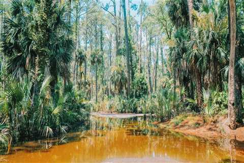 The Best Restaurants in Southeast SC with a View of the Marsh or Wetlands