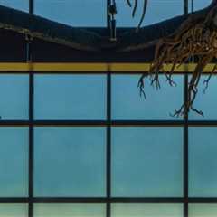 The Best Bars in Western Washington to Sip and Savor with a View of the Water