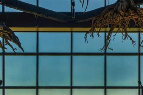 The Best Bars in Western Washington to Sip and Savor with a View of the Water