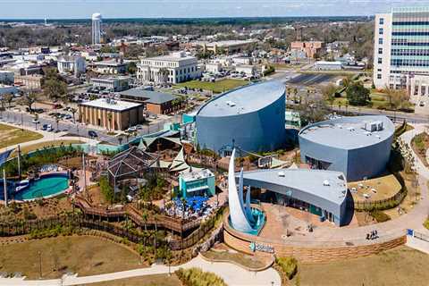 Understanding the Demographics of Lounges in Harrison County, Mississippi