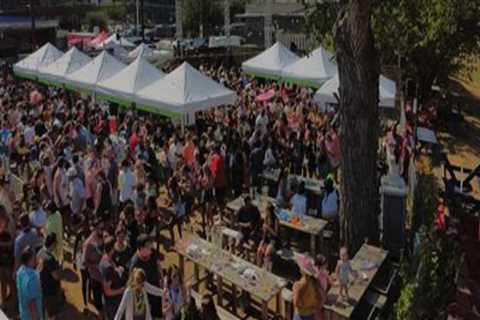 Community Festivals in Harris County TX Supported by Party Rental Services